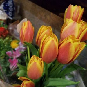 Meet your Posher, Alesha